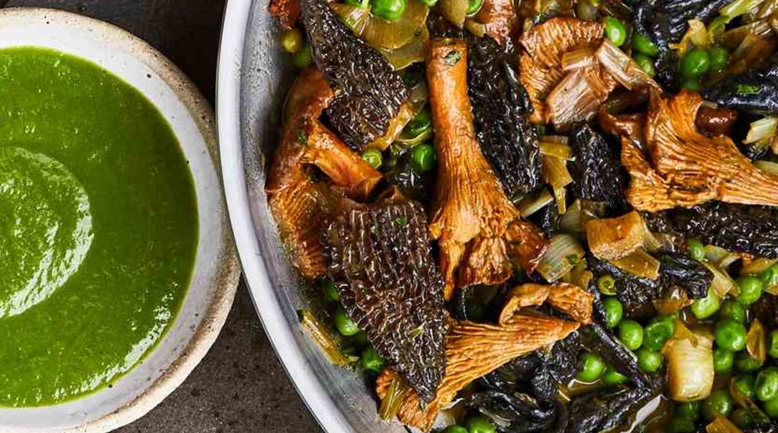 Magic of Mushrooms Magic of Mushrooms