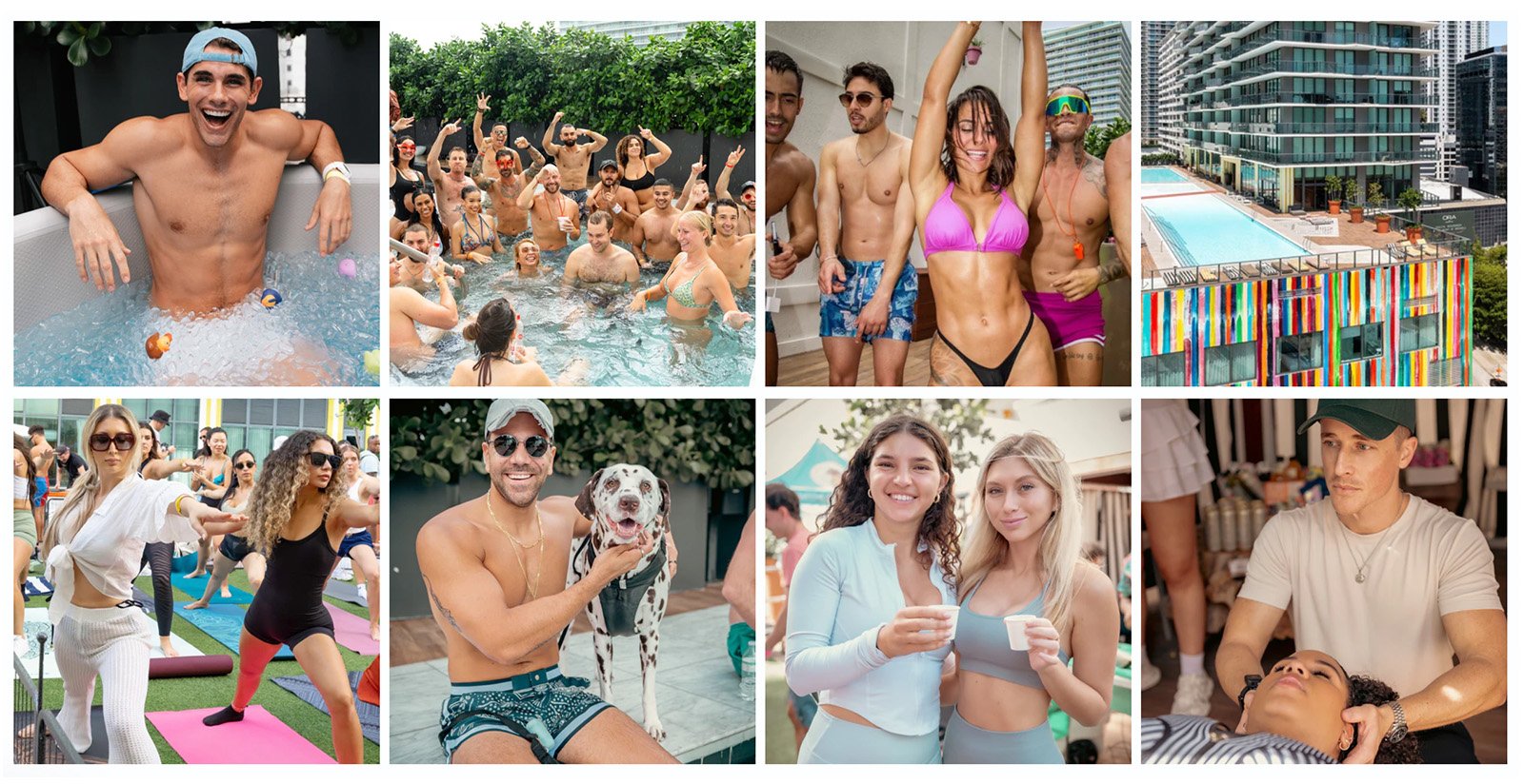 Pup n Chill Pup n Chill