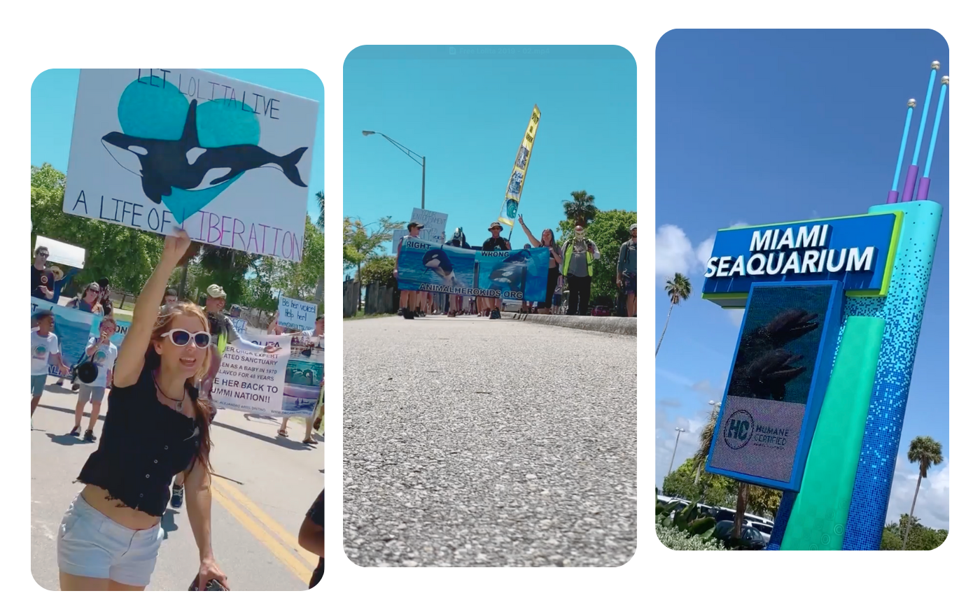 The End of an Era - Miami Seaquarium Closes