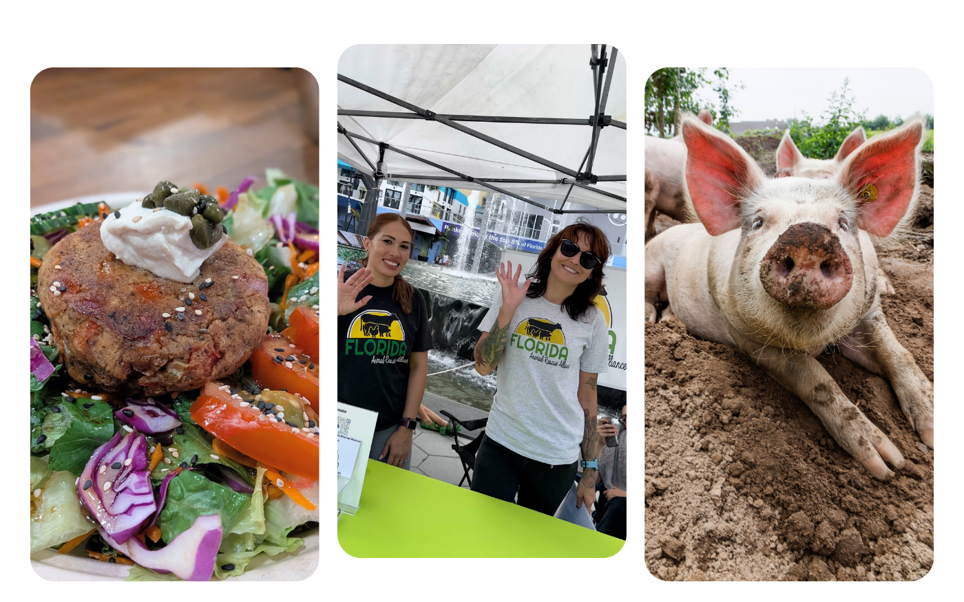 FARA Anniversary Party 111525