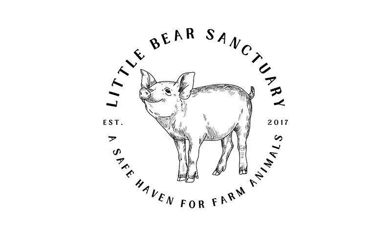 Little Bear Sanctuary
