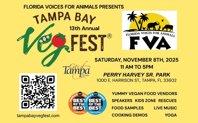 tampa bay vegfest tampa bay vegfest