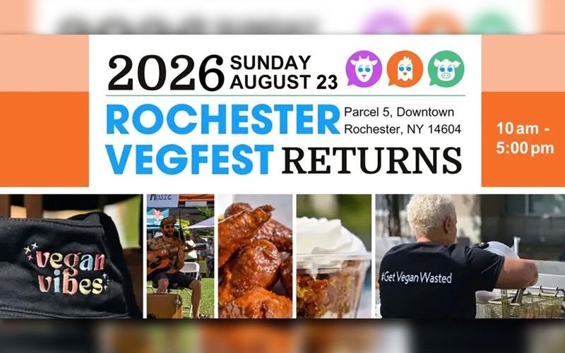 rochester vegfest rochester vegfest