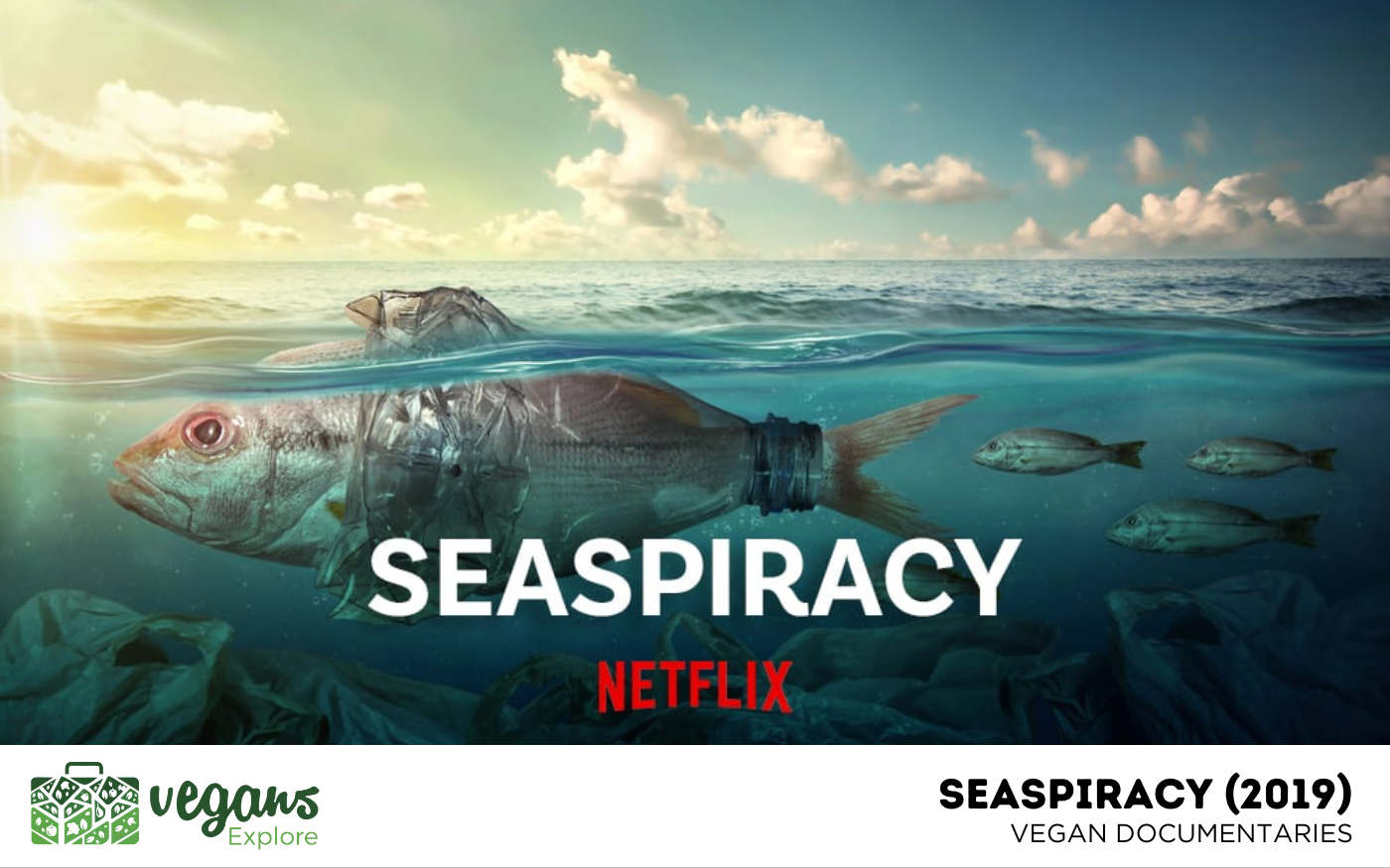 Seaspiracy