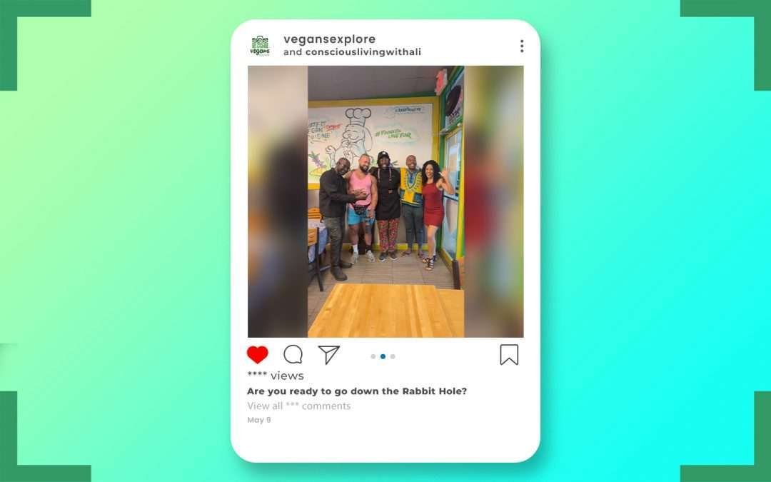 The Rabbit Hole Showcase on Vegans Explore