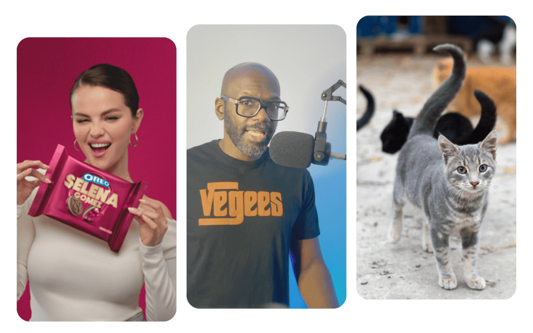 Vegans Explore Newsletter