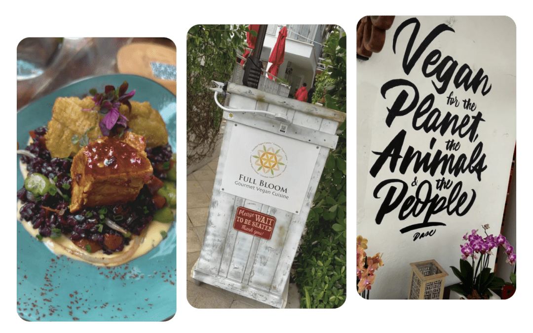 Full Bloom Isn’t Wilting—Just Preparing for a New Season