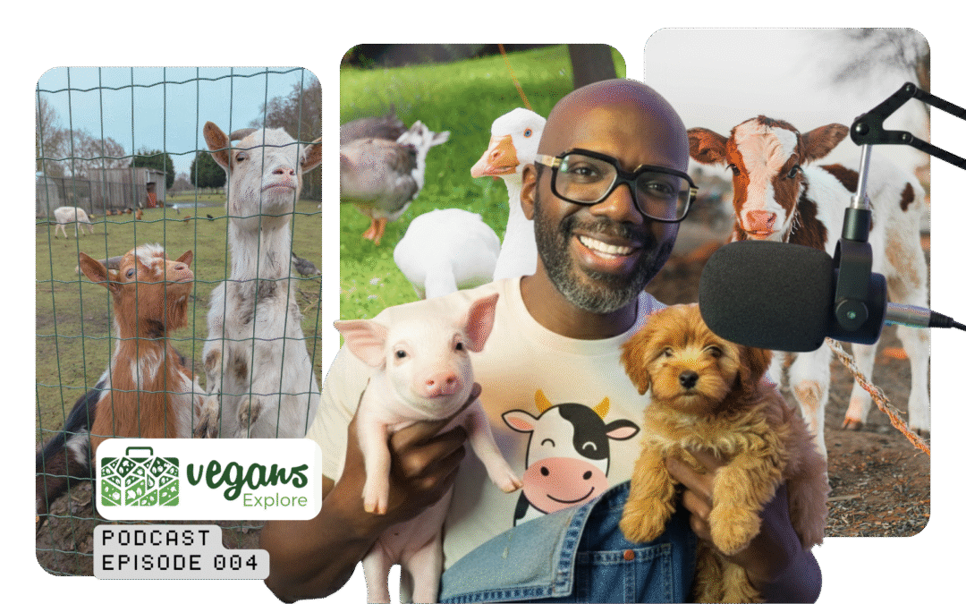 The Vegan Sanctuaries Transforming Lives in Florida