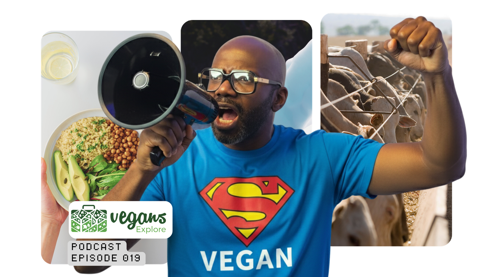 Top 10 Reasons Not to Go Vegan