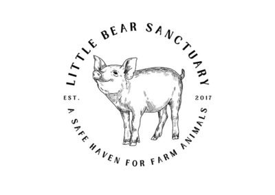 Little Bear Sanctuary