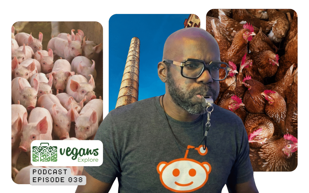 Confessions of a Claimed Meat Industry Insider