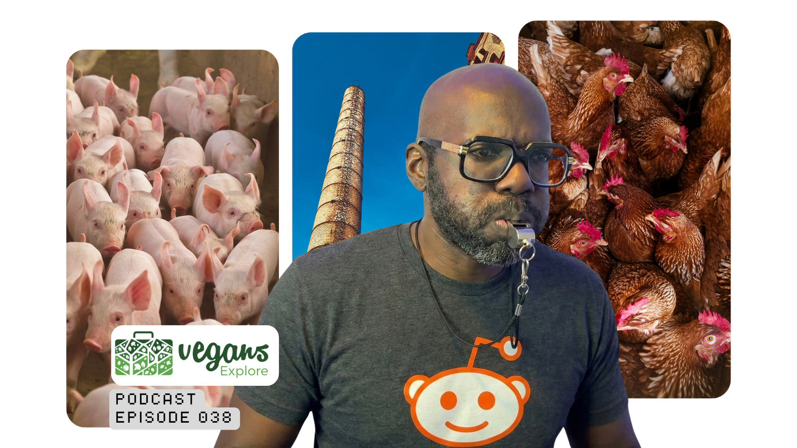 Confessions of a Claimed Meat Industry Insider